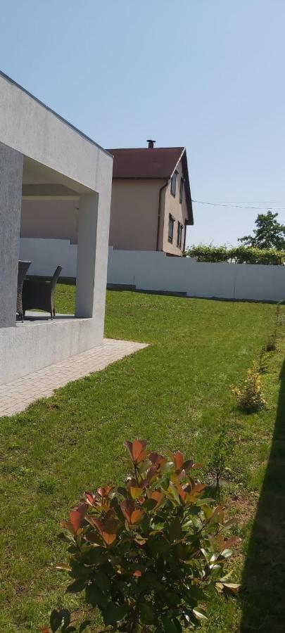 Vila Andrea Oradea Bagian luar foto