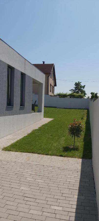 Vila Andrea Oradea Bagian luar foto