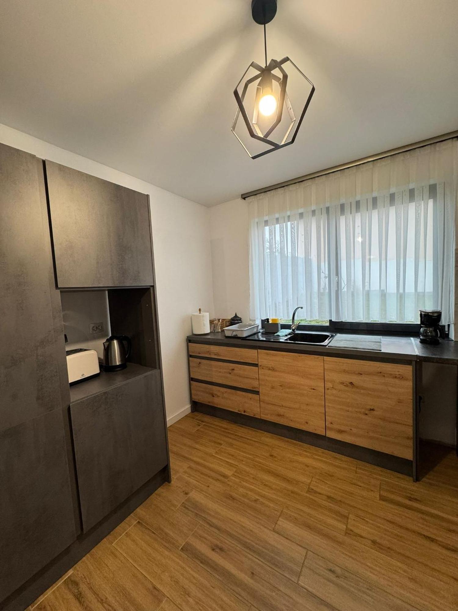 Vila Andrea Oradea Bagian luar foto